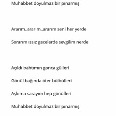 Safiye Ayla - Muhabbet Bağı (Ararım seni her yerde)