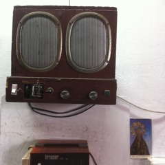 Joe Palmeras ~ Liebres