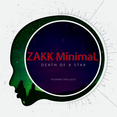 Zakk MinimaL - Landing (Original Mix)