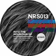 Ckret- Into The Mountain (Original Mix)SNIPPET