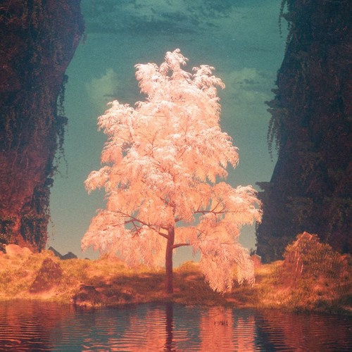 bliss