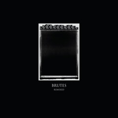 Brutes - The Beast (USD Remix)