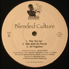 BLENDED CULTURE - PILE 'EM UP ( Rare 1994 TX Rap )