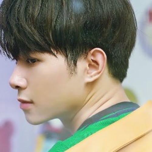 Giấc mơ không nhòa - Bùi Anh Tú