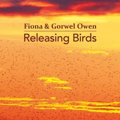 Releasing Birds (CD)