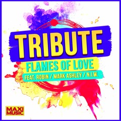 Tribute  - Flames Of Love (Feat. Robin)