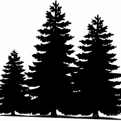 Christmas Tree Plantations (SA 19/1/59/1)