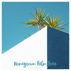 Alistair - Homegrown Palm Trees