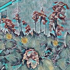 Nothing at all (Demo)