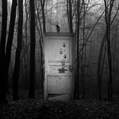Door In The Woods