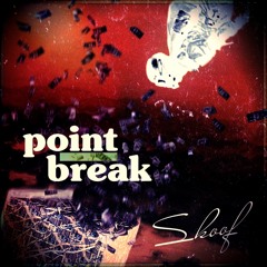 Skoof - Point Break