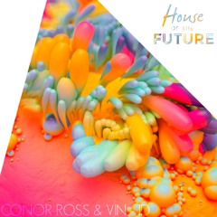 HOTF #051 | Conor Ross & Vin - ID