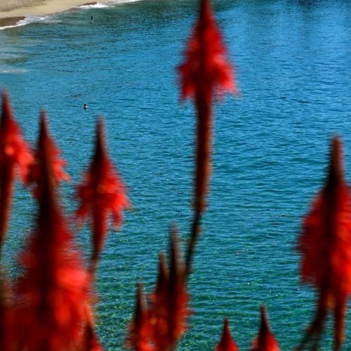 whatamievenlisteningto.mp3