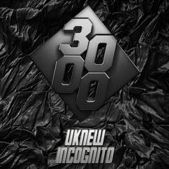 Uknew - Incognito