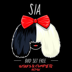 Bird Set Free (Styles&Complete Remix)