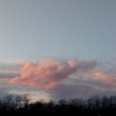 we'll meet again - vera lynn - cover :)