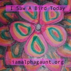 "I Saw A Bird Today"