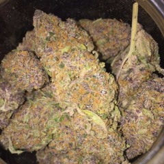 November Samples 2k17 (prod. jorge ivan)