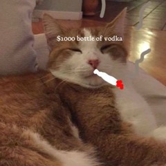 mix: $1000 bottle of vodka