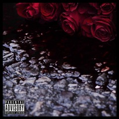 Perfect-Plex Ft Roc Marciano
