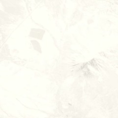 T h r i f t    &    S h a m b l e d     N u a n c e     [2016:RSNO]