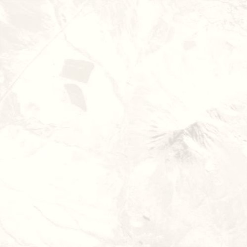 T h r i f t    &    S h a m b l e d     N u a n c e     [2016:RSNO]