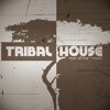 Gianluca Vacchi Viento Tribal House Vrs Djsolawer 2018 Demoo Mp3