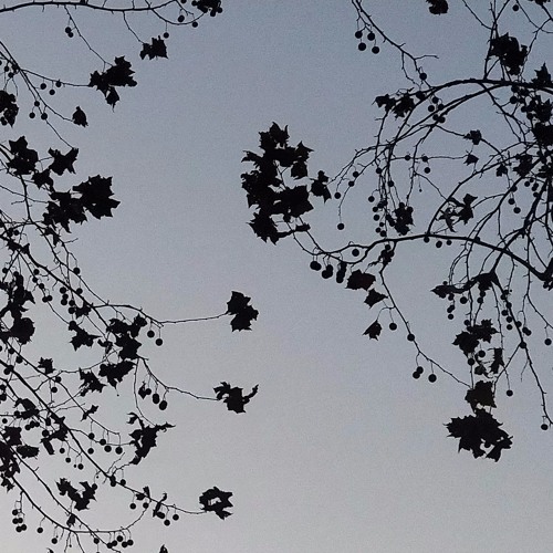 Sadness Theme v2
