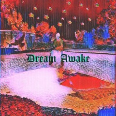 Dreamin Awake