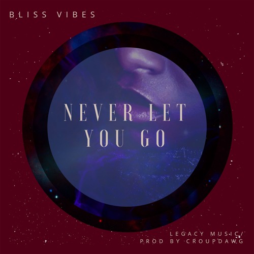 Stream Never Let You Go (Prod. by CROUPDAWG) by Bliss Vibes