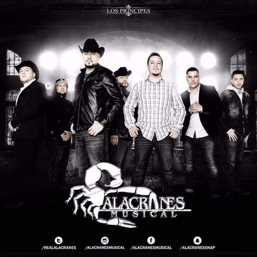 Stream El Condor Pasa - Alacranes Musical.mp3 by DJ POTOSINO SONIDO  INDOMABLE | Listen online for free on SoundCloud
