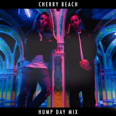 Cherry Beach - Hump Day Mix [Acid Stag Premiere]