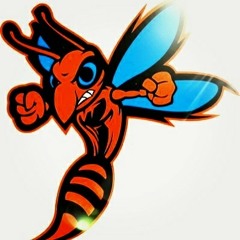 Cnotes - We Gon Fight {Hornet Anthem}