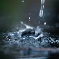 Step 1: Back to roots