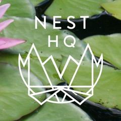 NEST HQ MiniMix: Danny Dwyer