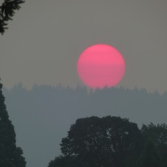 It Comes Down to Love