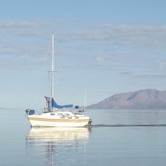 Saker ingen människa kan förstå