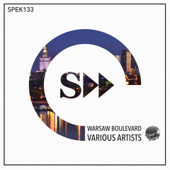 PREMIERE : NuCasa - Damn (Original Mix) SPEK133