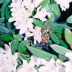 JEROME Mixfile #229-AUCO