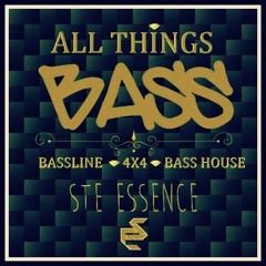 STE ESSENCE - ALL THINGS BASS 2017