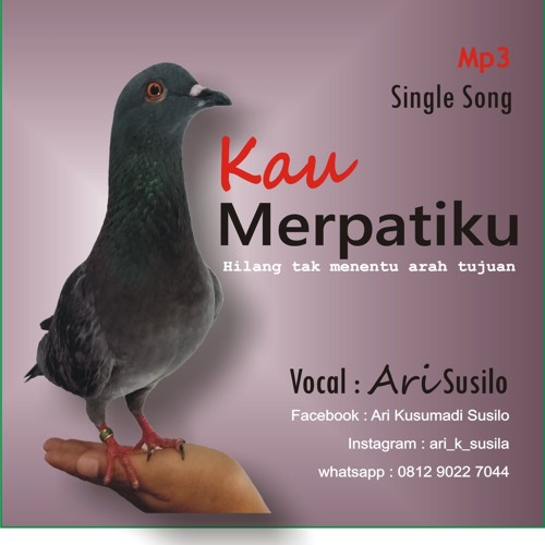 Kau Merpatiku By Ari Kusumadi Susilo On Soundcloud Hear The