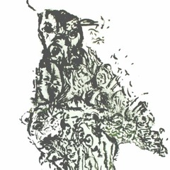 Les zoos... extraits de l'ouvrage de D. Jensen