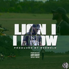 Lion I - I Know
