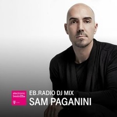 Sam Paganini - Roots Vinyl Mix (Telekom Electronic Beats)