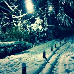 【2hours DTM】Winters