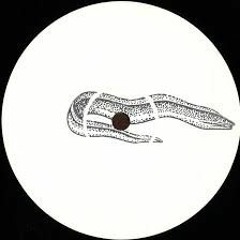 PALINGLTD001: The Fishermen You'll Never See