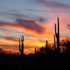 there_is_no_arizona
