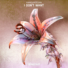 Aamourocean - I Don't Want