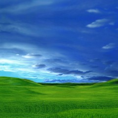 Freedom Fry ~ The Wilder Mile (Urban Contact Remix)