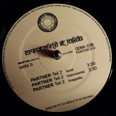 Partner Teil 2 Remix (Flipstar)